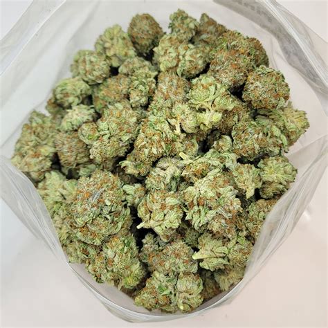 gucci pink strain review|pink kush indica.